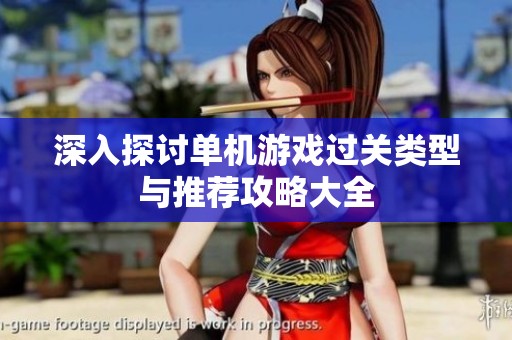 深入探讨单机游戏过关类型与推荐攻略大全