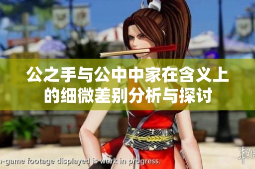 公之手与公中中家在含义上的细微差别分析与探讨