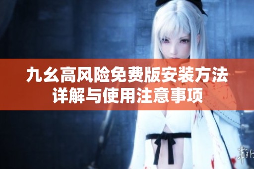 九幺高风险免费版安装方法详解与使用注意事项