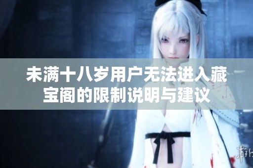 未满十八岁用户无法进入藏宝阁的限制说明与建议