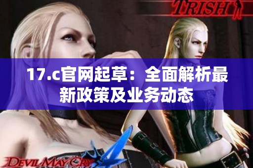 17.c官网起草：全面解析最新政策及业务动态