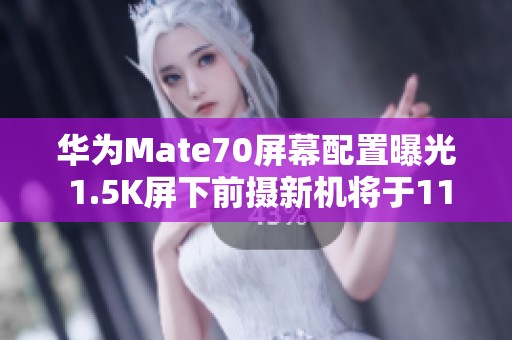 华为Mate70屏幕配置曝光 1.5K屏下前摄新机将于11月上市