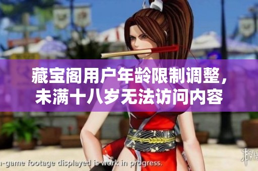 藏宝阁用户年龄限制调整，未满十八岁无法访问内容