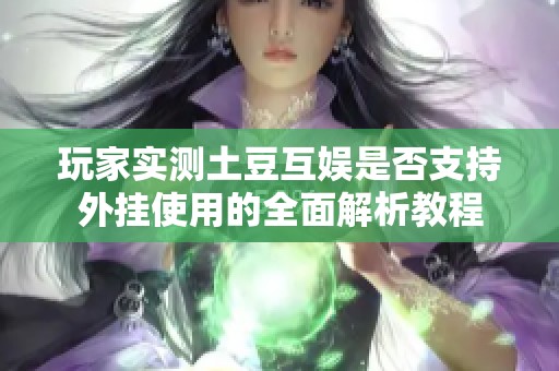 玩家实测土豆互娱是否支持外挂使用的全面解析教程