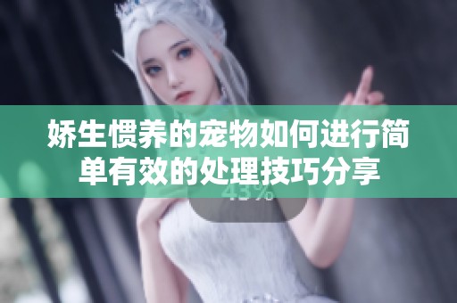 娇生惯养的宠物如何进行简单有效的处理技巧分享
