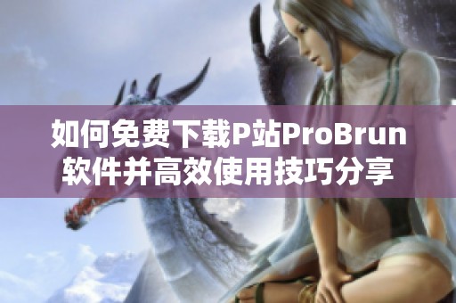 如何免费下载P站ProBrun软件并高效使用技巧分享