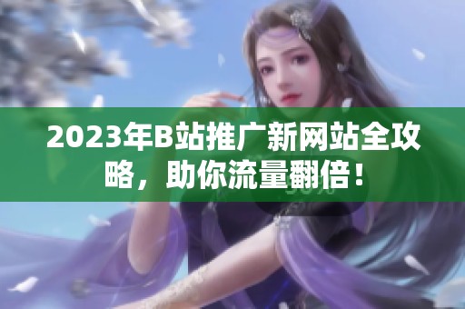 2023年B站推广新网站全攻略，助你流量翻倍！