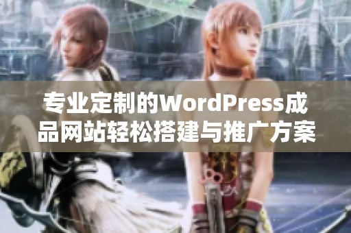 专业定制的WordPress成品网站轻松搭建与推广方案