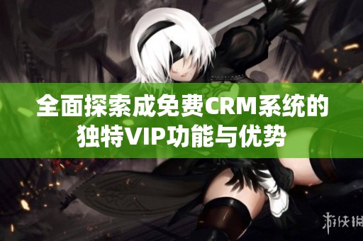 全面探索成免费CRM系统的独特VIP功能与优势