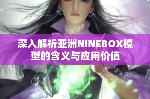 深入解析亚洲NINEBOX模型的含义与应用价值