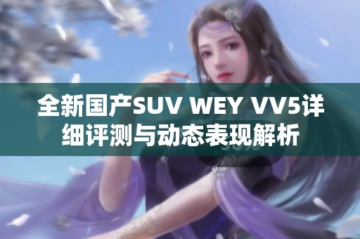 全新国产SUV WEY VV5详细评测与动态表现解析