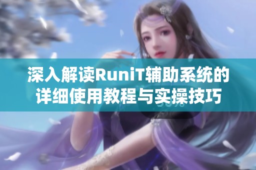 深入解读RuniT辅助系统的详细使用教程与实操技巧