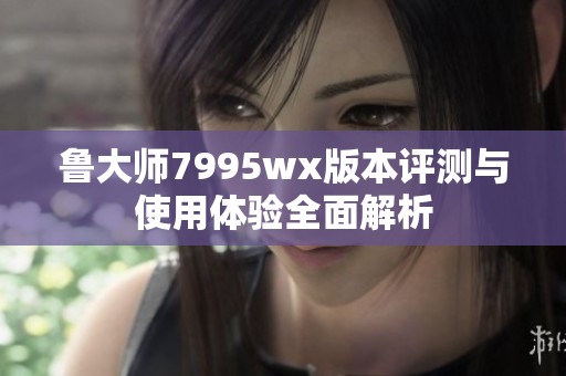 鲁大师7995wx版本评测与使用体验全面解析