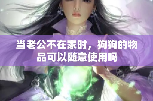 当老公不在家时，狗狗的物品可以随意使用吗