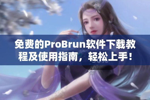 免费的ProBrun软件下载教程及使用指南，轻松上手！