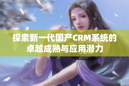 探索新一代国产CRM系统的卓越成熟与应用潜力