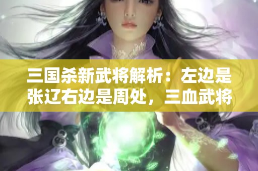 三国杀新武将解析：左边是张辽右边是周处，三血武将的挑战与魅力