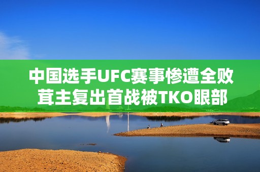 中国选手UFC赛事惨遭全败 茸主复出首战被TKO眼部受伤