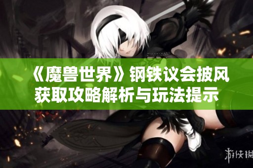 《魔兽世界》钢铁议会披风获取攻略解析与玩法提示