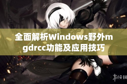 全面解析Windows野外mgdrcc功能及应用技巧