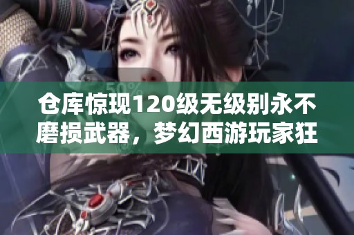 仓库惊现120级无级别永不磨损武器，梦幻西游玩家狂欢