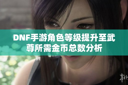 DNF手游角色等级提升至武尊所需金币总数分析