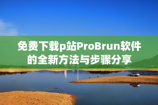 免费下载p站ProBrun软件的全新方法与步骤分享