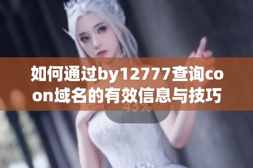 如何通过by12777查询coon域名的有效信息与技巧