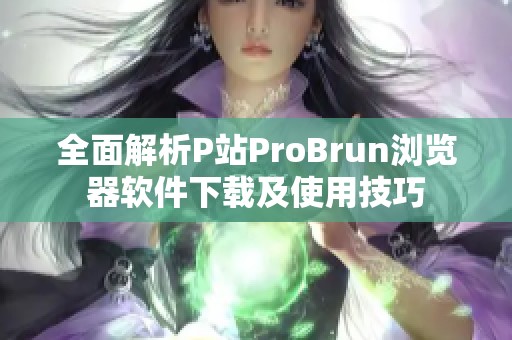 全面解析P站ProBrun浏览器软件下载及使用技巧