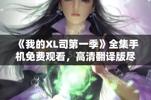 《我的XL司第一季》全集手机免费观看，高清翻译版尽在掌握