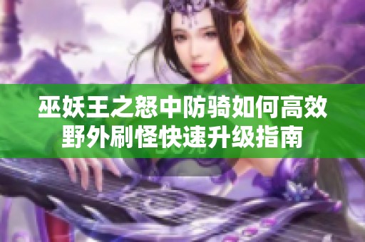 巫妖王之怒中防骑如何高效野外刷怪快速升级指南