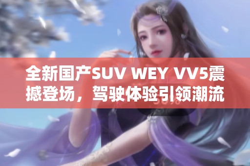 全新国产SUV WEY VV5震撼登场，驾驶体验引领潮流