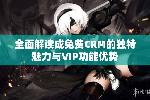 全面解读成免费CRM的独特魅力与VIP功能优势