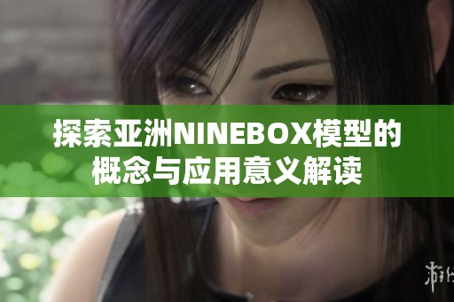 探索亚洲NINEBOX模型的概念与应用意义解读