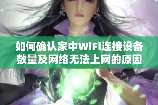 如何确认家中WiFi连接设备数量及网络无法上网的原因