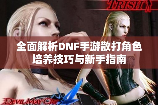 全面解析DNF手游散打角色培养技巧与新手指南