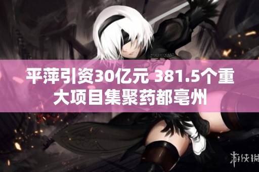 平萍引资30亿元 381.5个重大项目集聚药都亳州