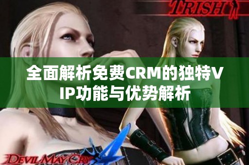 全面解析免费CRM的独特VIP功能与优势解析