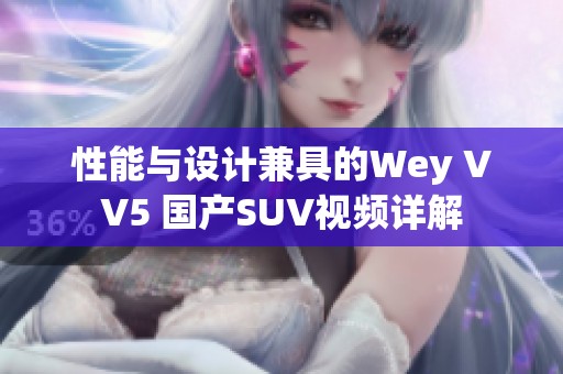 性能与设计兼具的Wey VV5 国产SUV视频详解