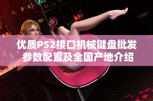 优质PS2接口机械键盘批发 参数配置及全国产地介绍