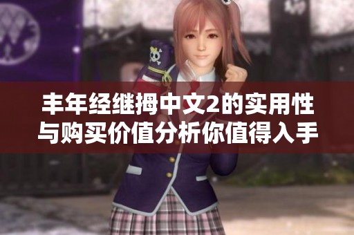 丰年经继拇中文2的实用性与购买价值分析你值得入手吗
