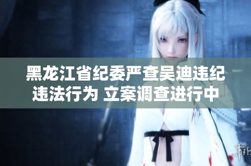黑龙江省纪委严查吴迪违纪违法行为 立案调查进行中