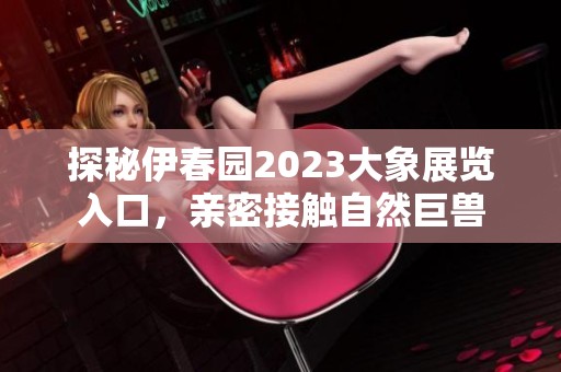 探秘伊春园2023大象展览入口，亲密接触自然巨兽