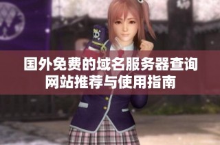 国外免费的域名服务器查询网站推荐与使用指南