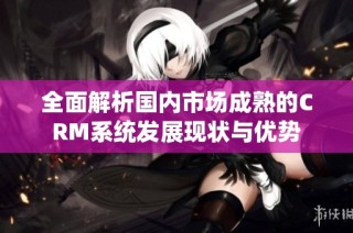 全面解析国内市场成熟的CRM系统发展现状与优势