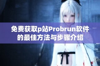 免费获取p站Probrun软件的最佳方法与步骤介绍