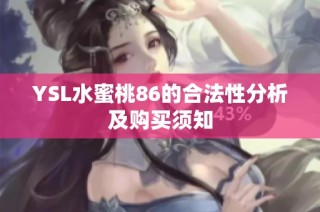YSL水蜜桃86的合法性分析及购买须知
