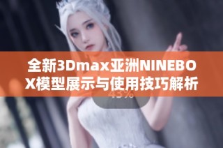 全新3Dmax亚洲NINEBOX模型展示与使用技巧解析