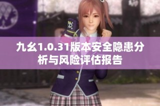 九幺1.0.31版本安全隐患分析与风险评估报告