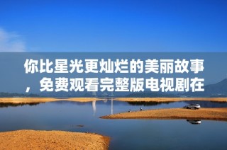 你比星光更灿烂的美丽故事，免费观看完整版电视剧在线畅享